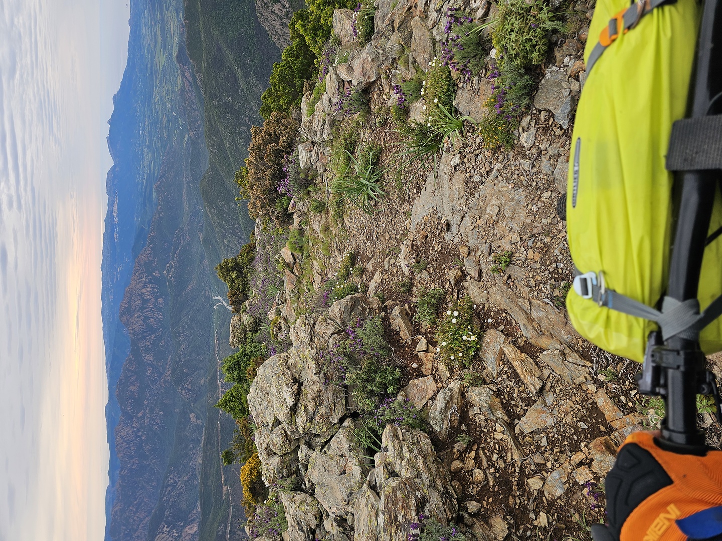 olinie-trail2.jpg