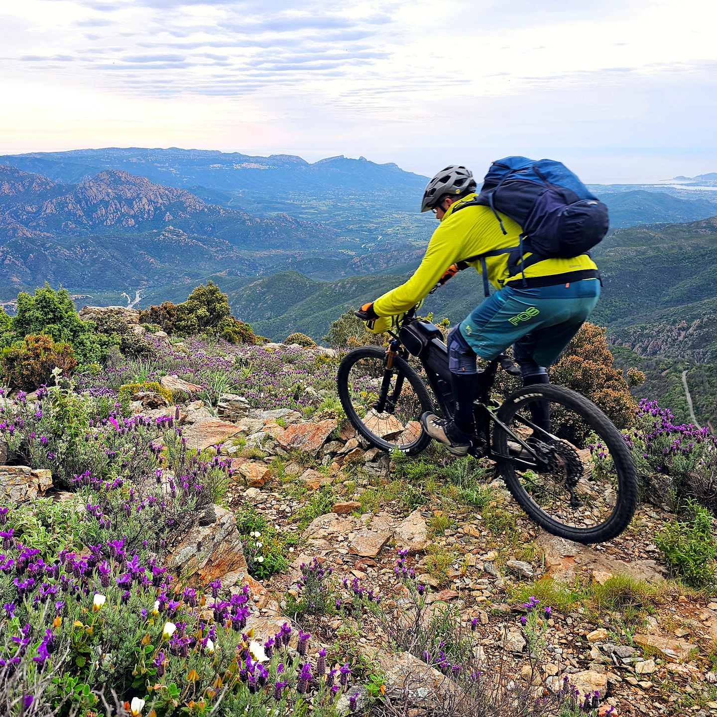 olinie-trail3.jpg