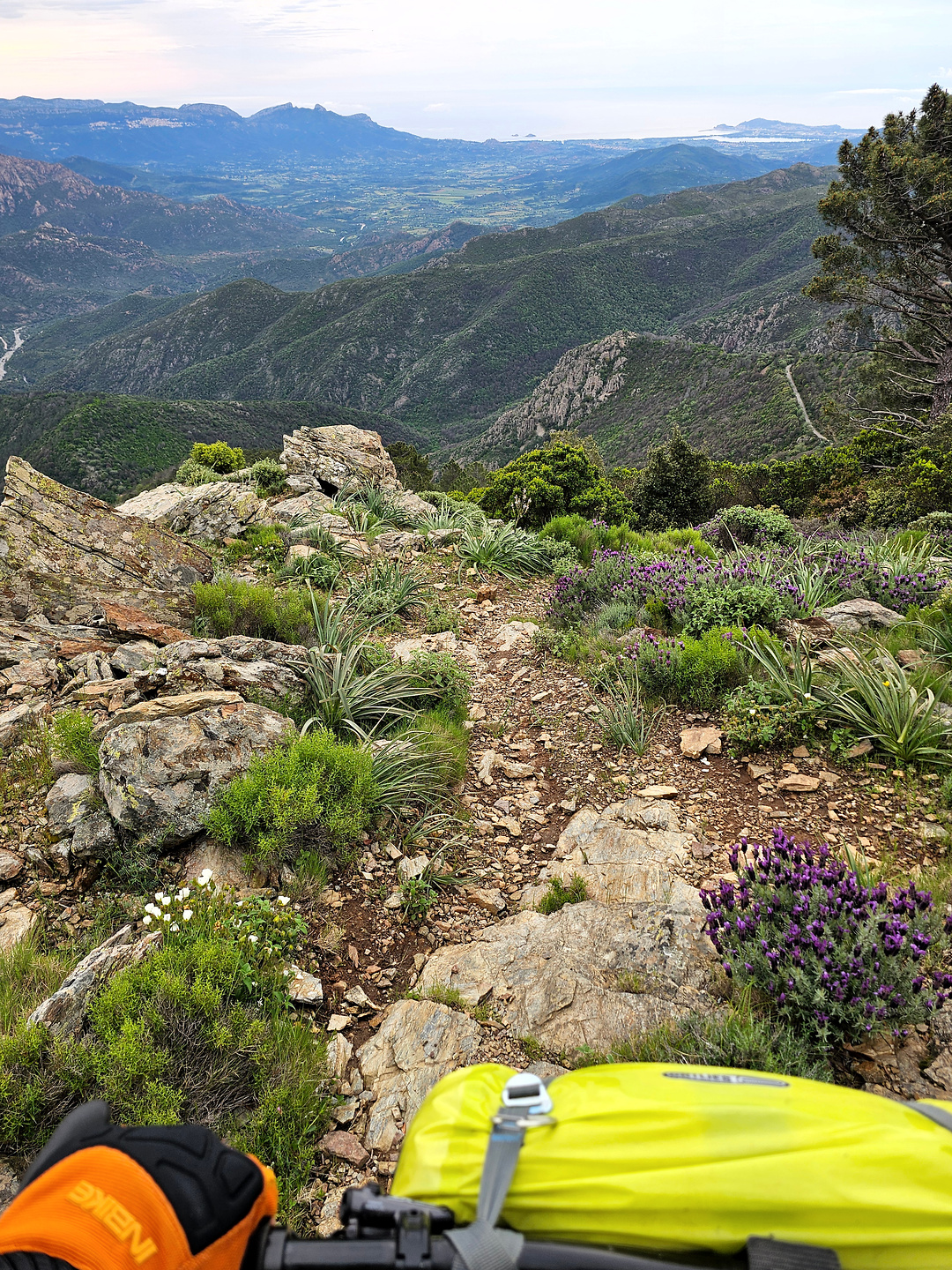 olinie-trail4.jpg