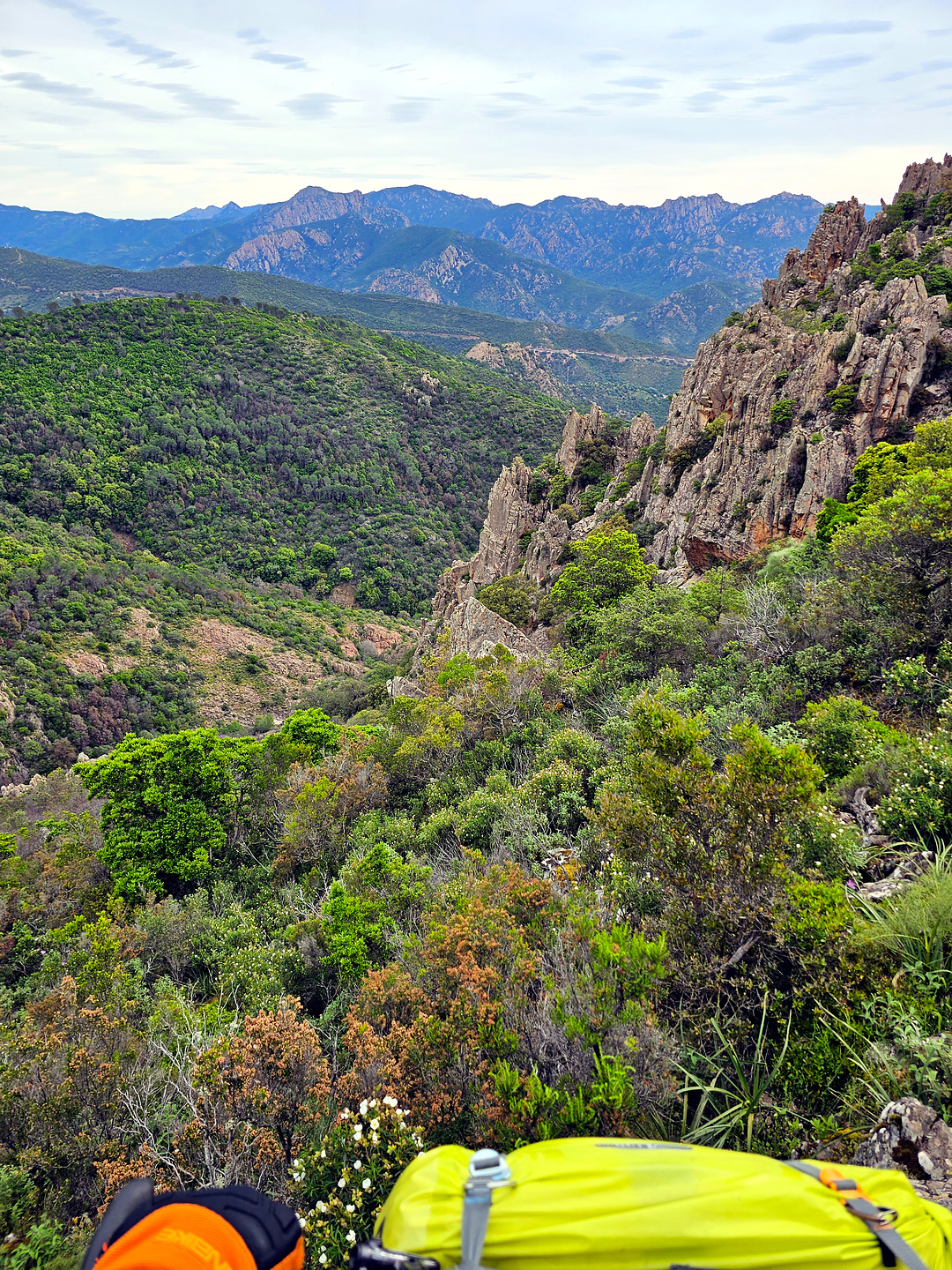 olinie-trail5.jpg