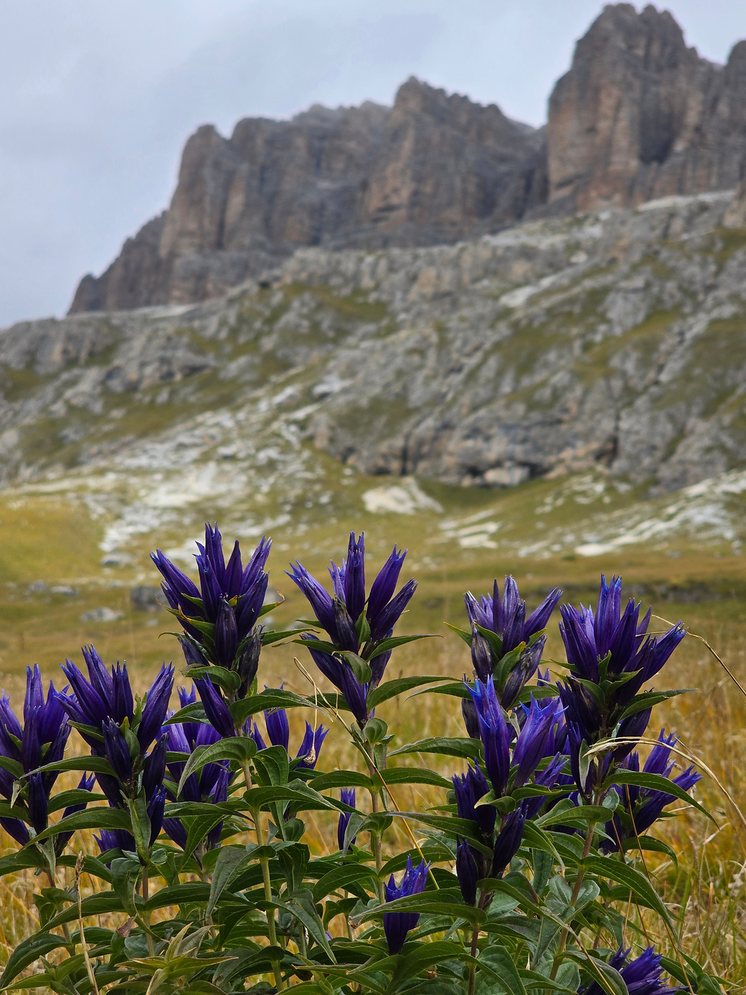 piazetta-ferrata19.jpg
