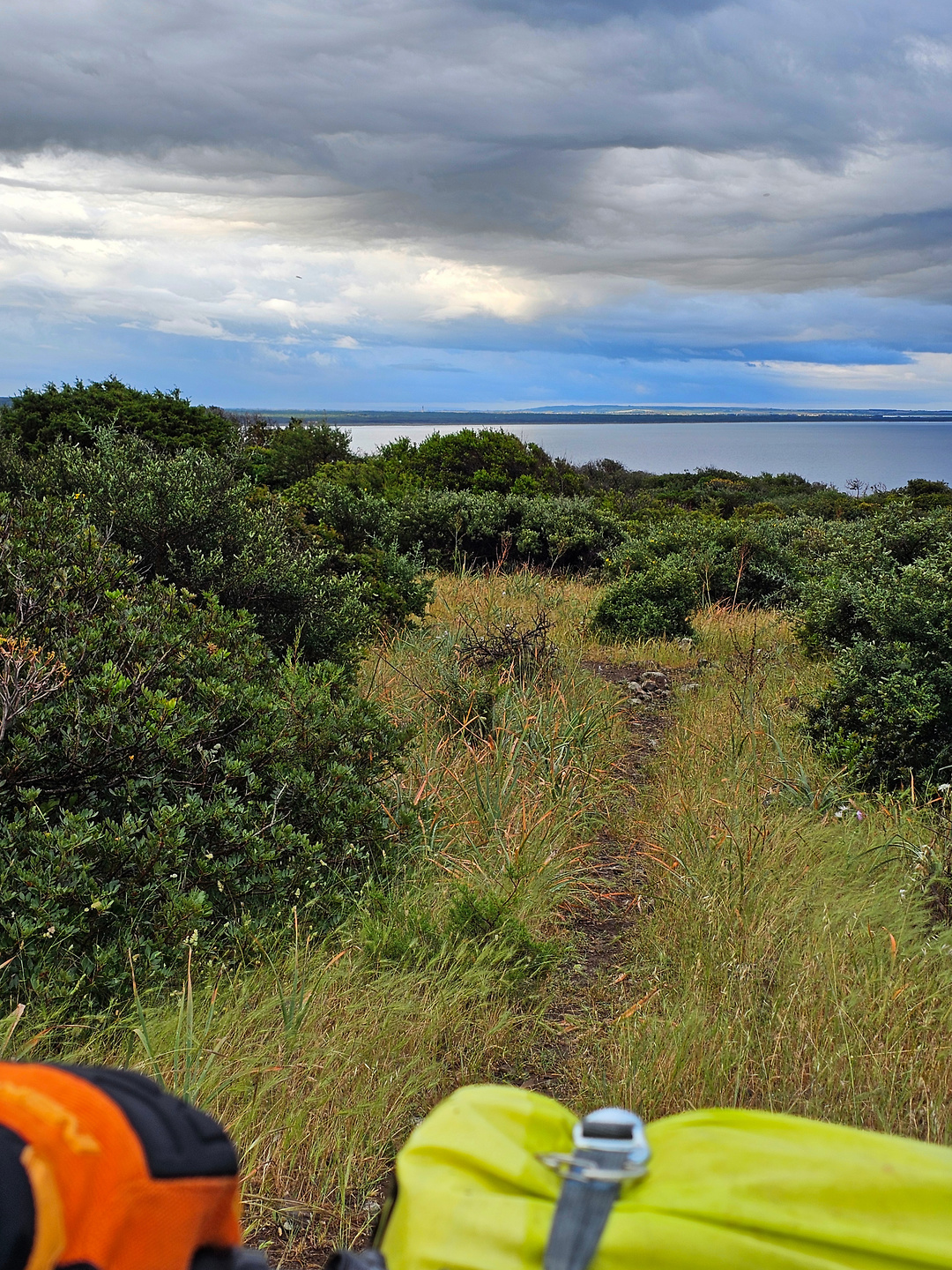 pittinuri-trail1.jpg