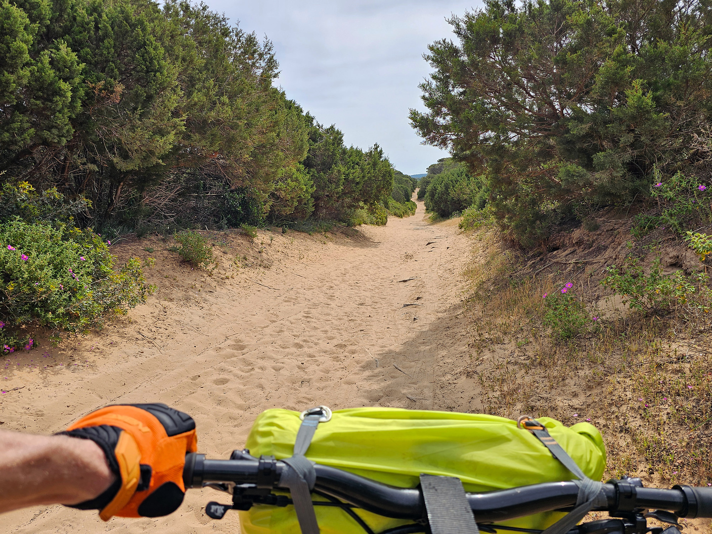 portoferro-trail15.jpg