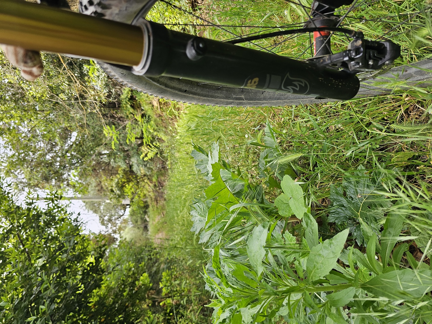 portoferro-trail3.jpg