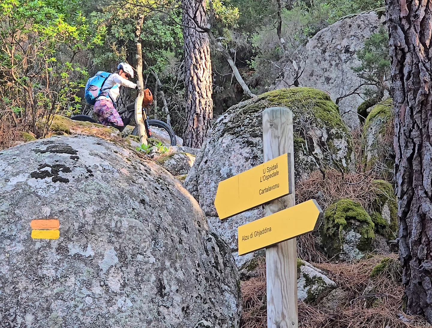 portovecchio-trail8.jpg