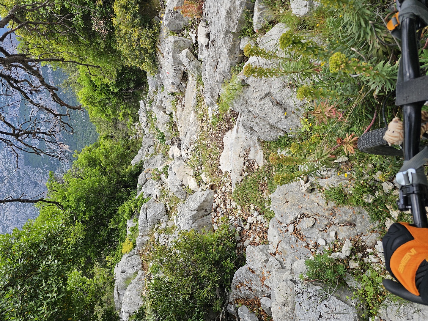 pradu405-trail15.jpg
