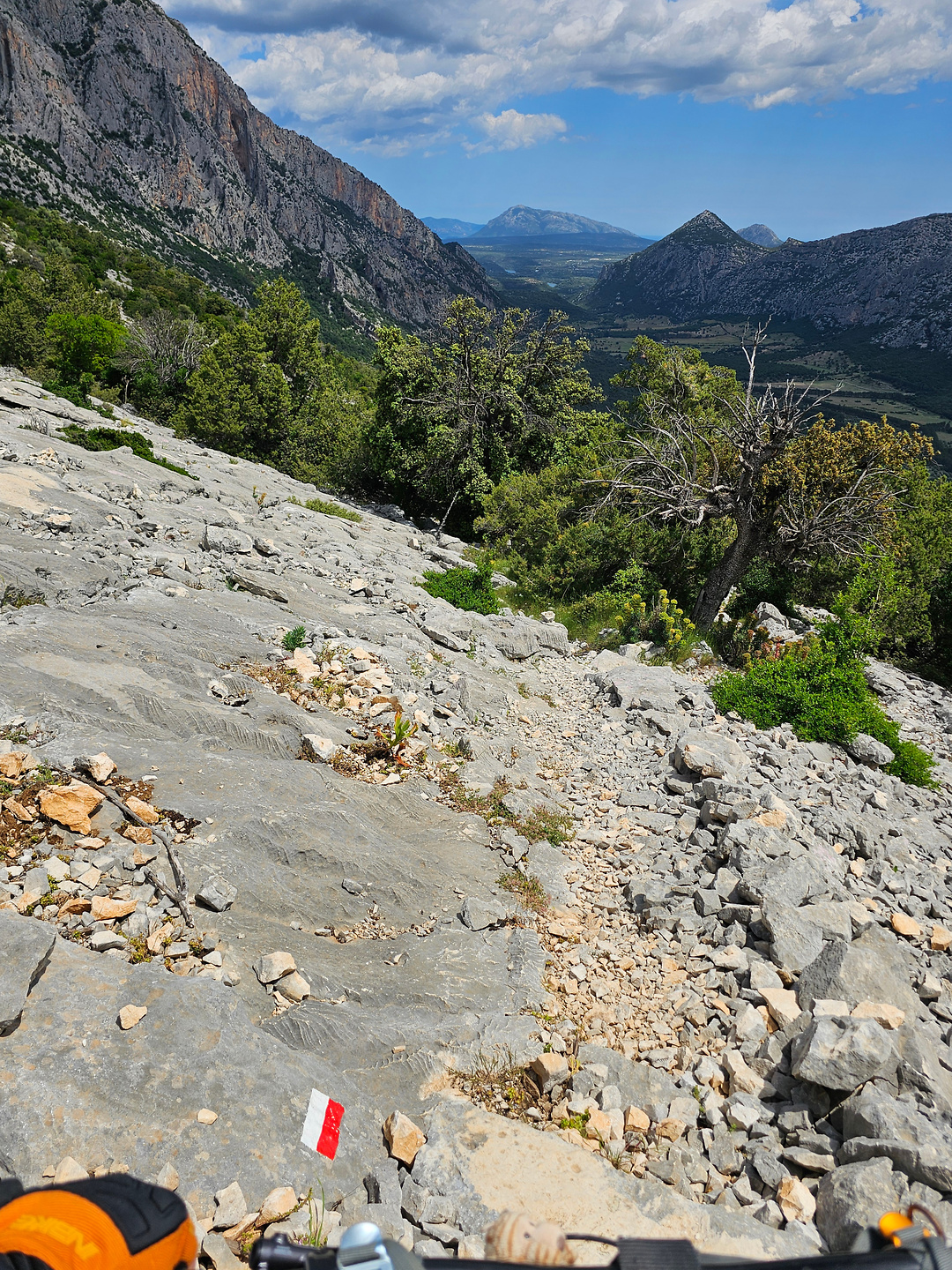 pradu405-trail16.jpg