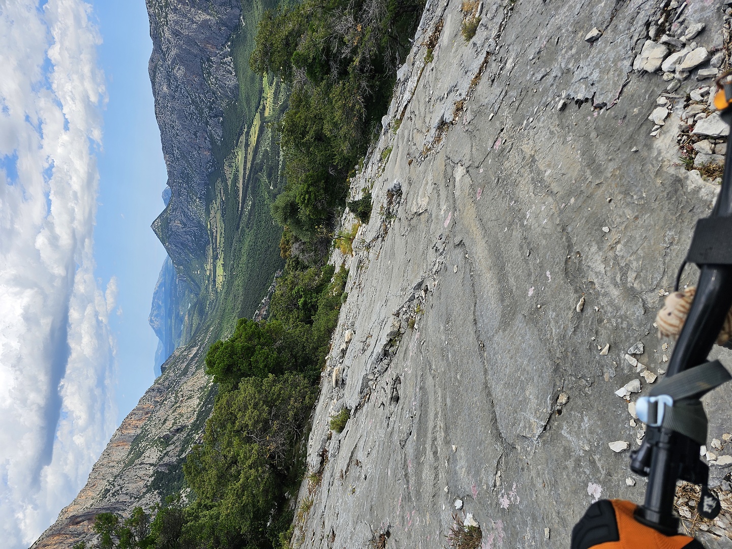 pradu405-trail17.jpg