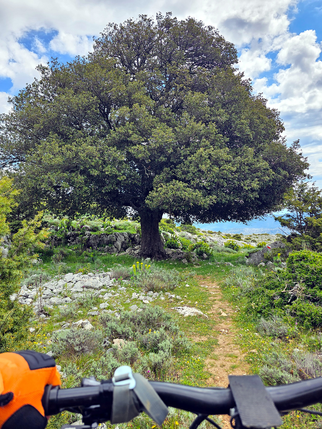 pradu405-trail5.jpg