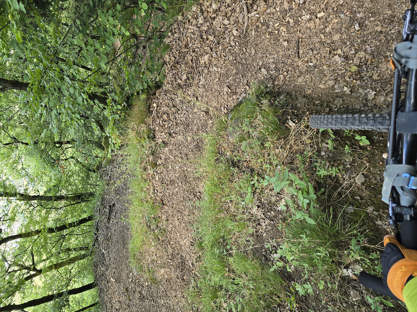 preney-trail2.jpg