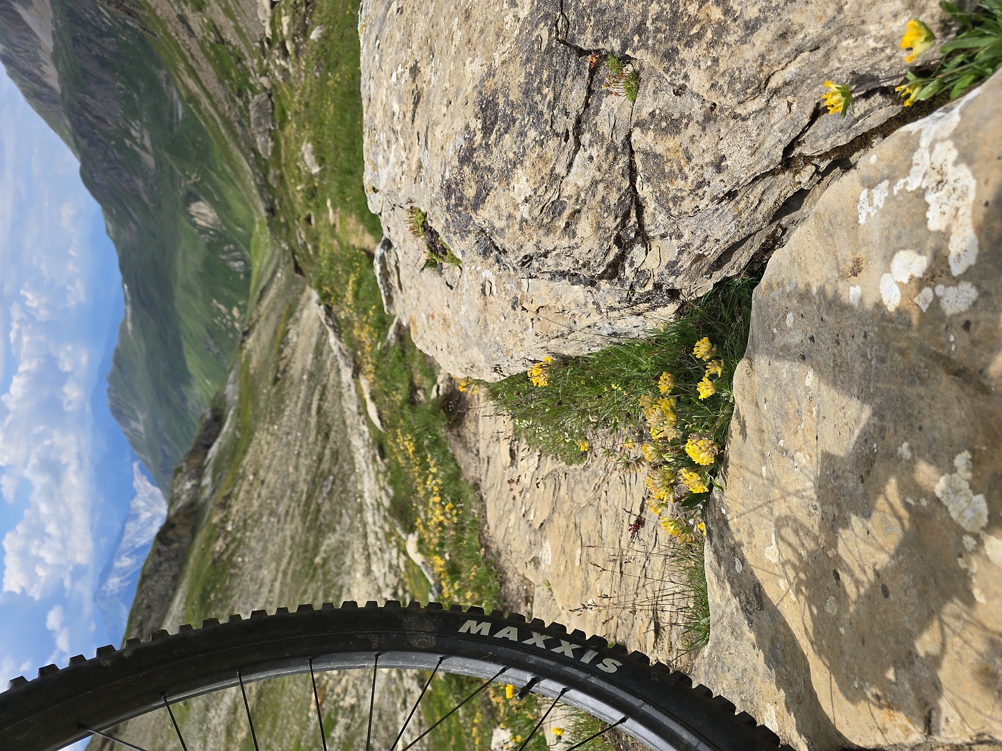 restipass-trail3.jpg
