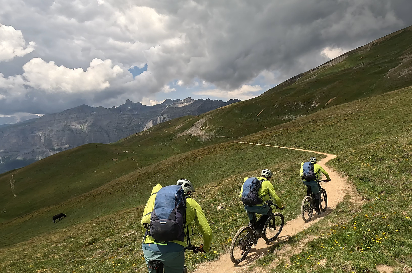 restipass-trail7.jpg