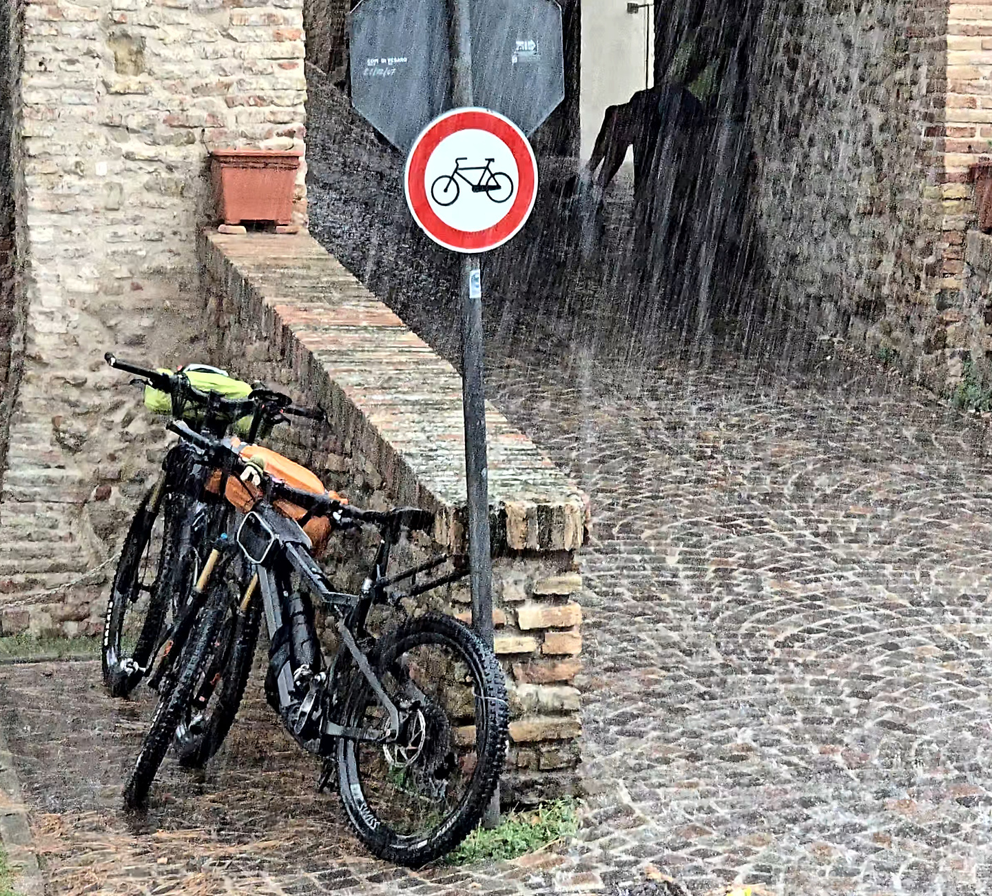 rimini-road2.jpg