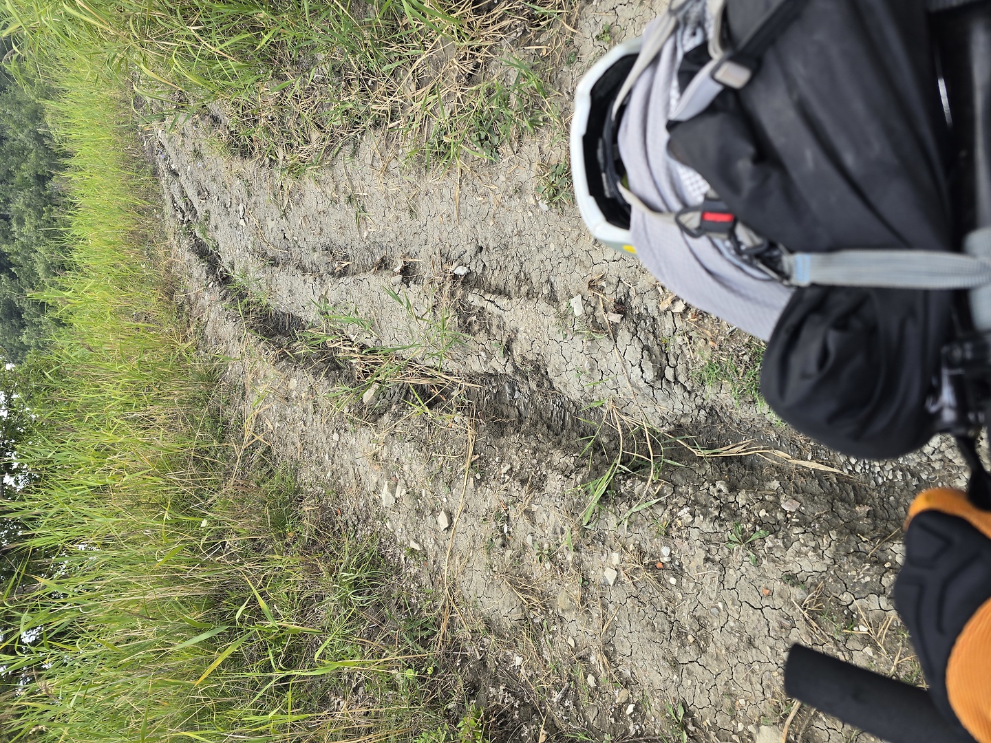 rimini-trail1.jpg