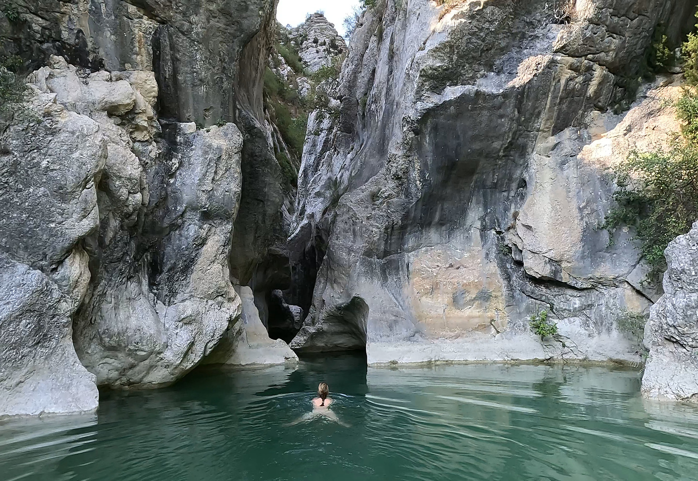 riolan-swim2.jpg