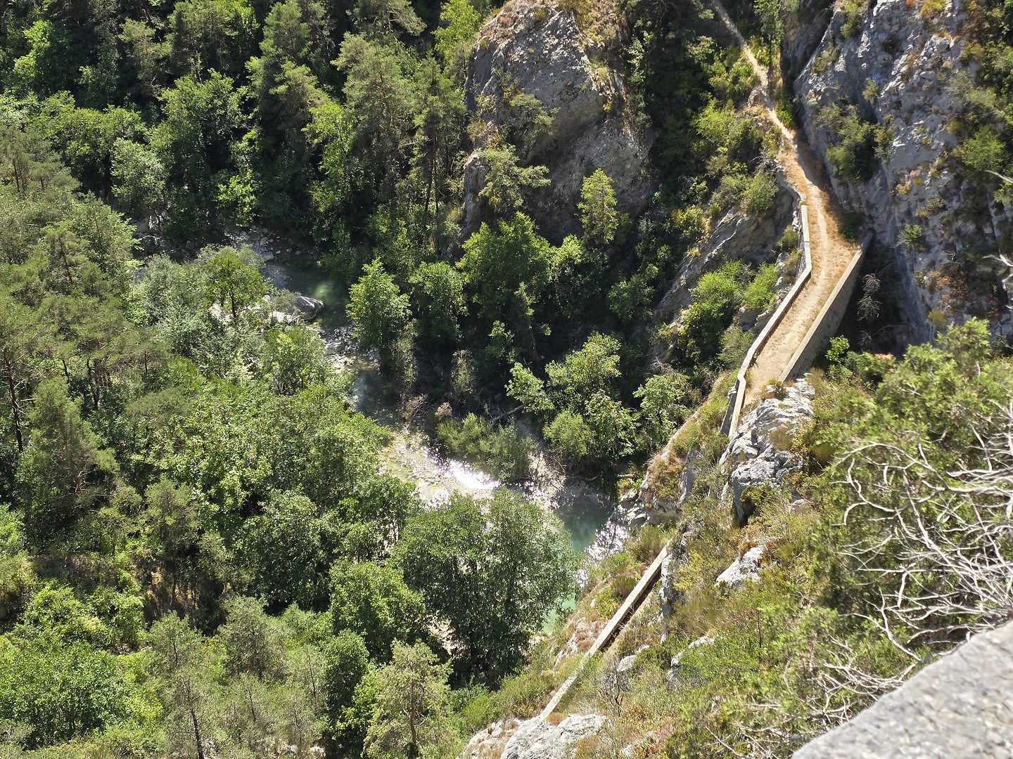 riolan-trail1.jpg