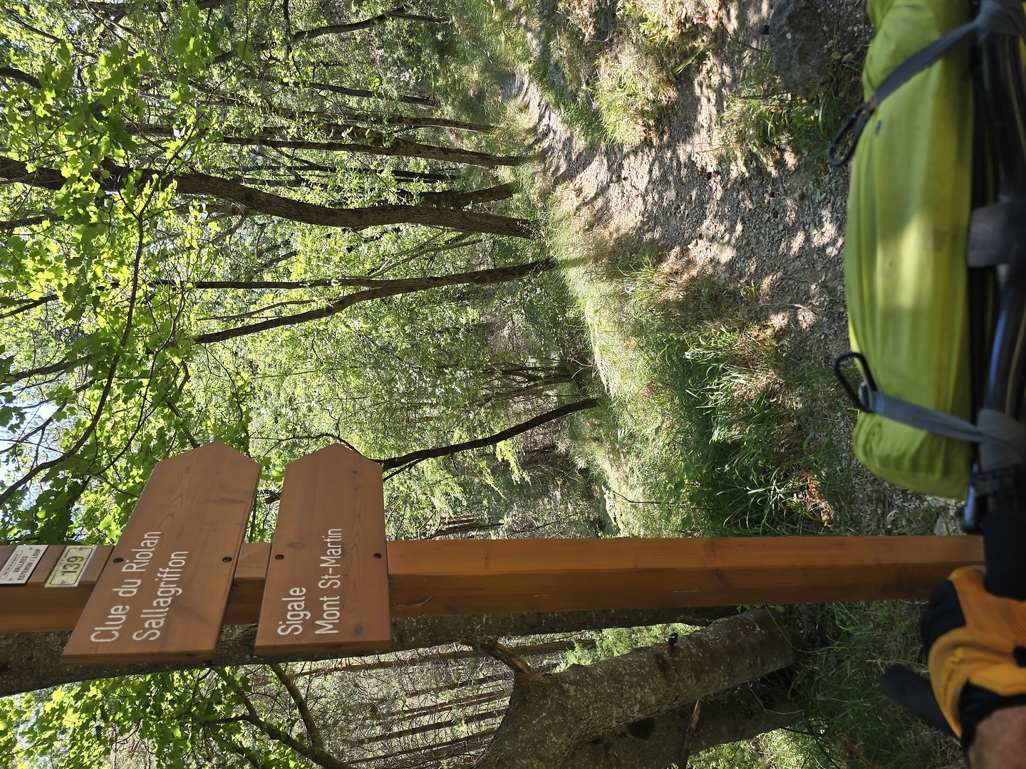 riolan-trail2.jpg