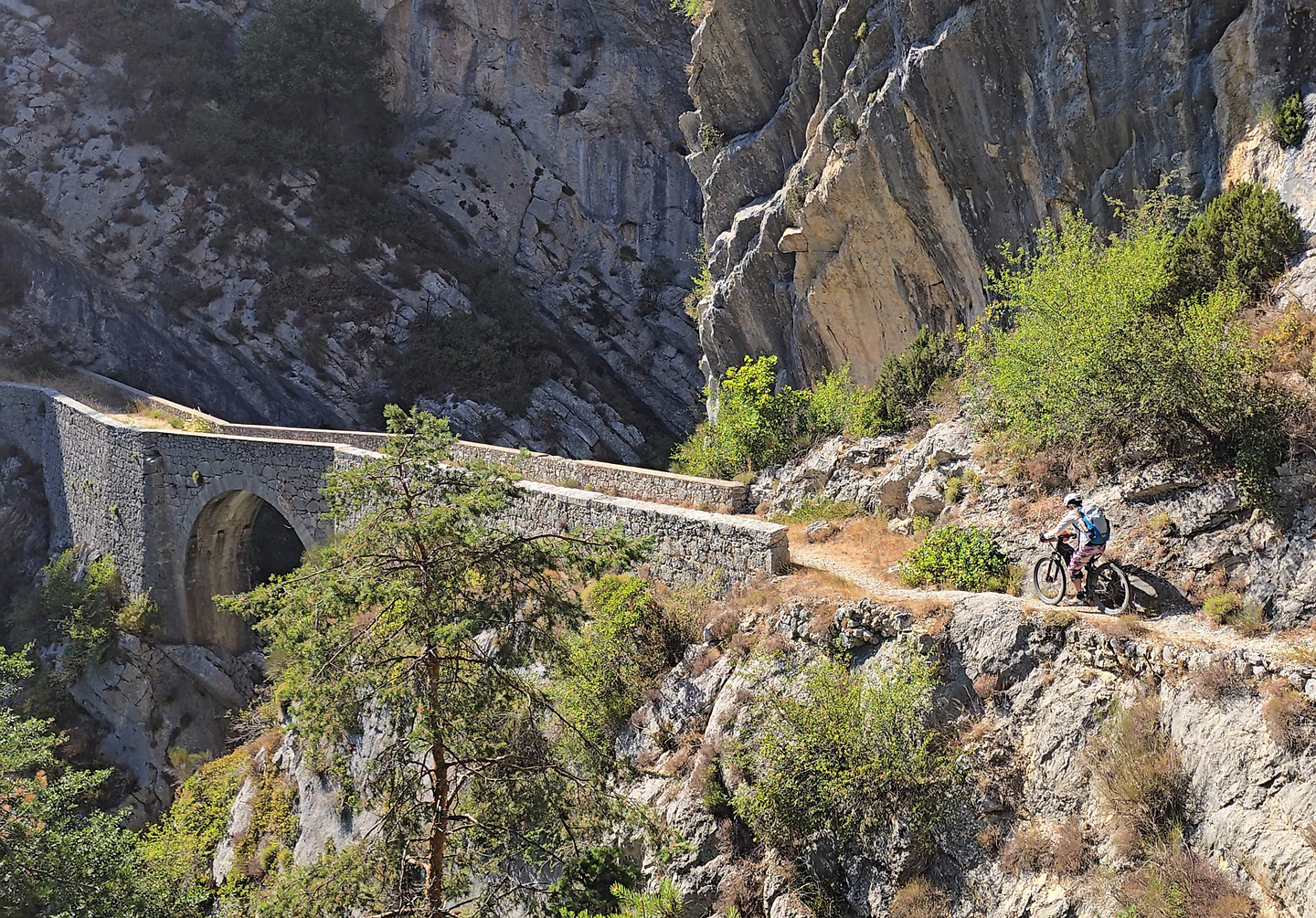 riolan-trail3.jpg
