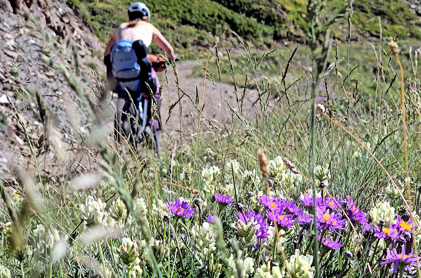 saflisch-uphill5.jpg