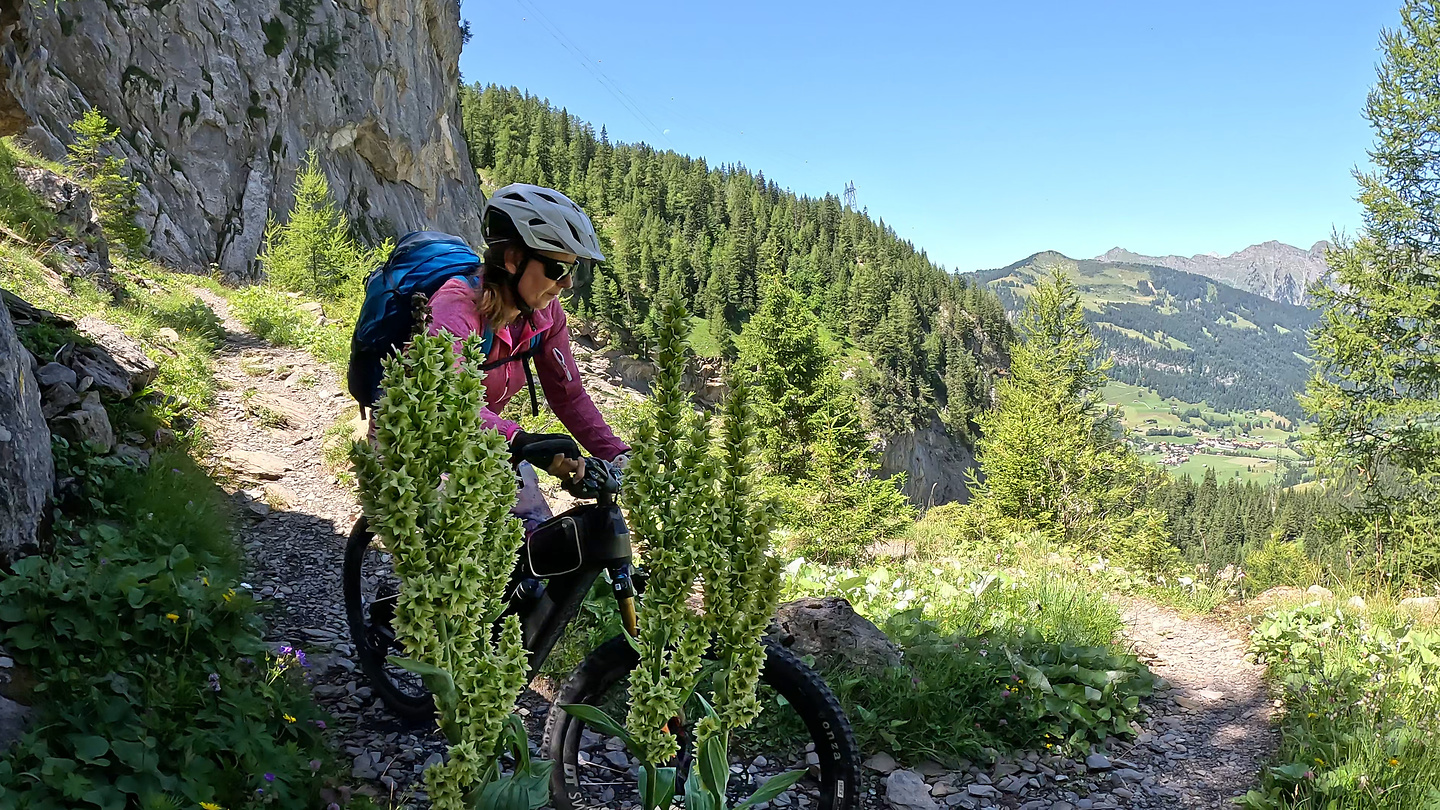 sanetsch-trail8.jpg