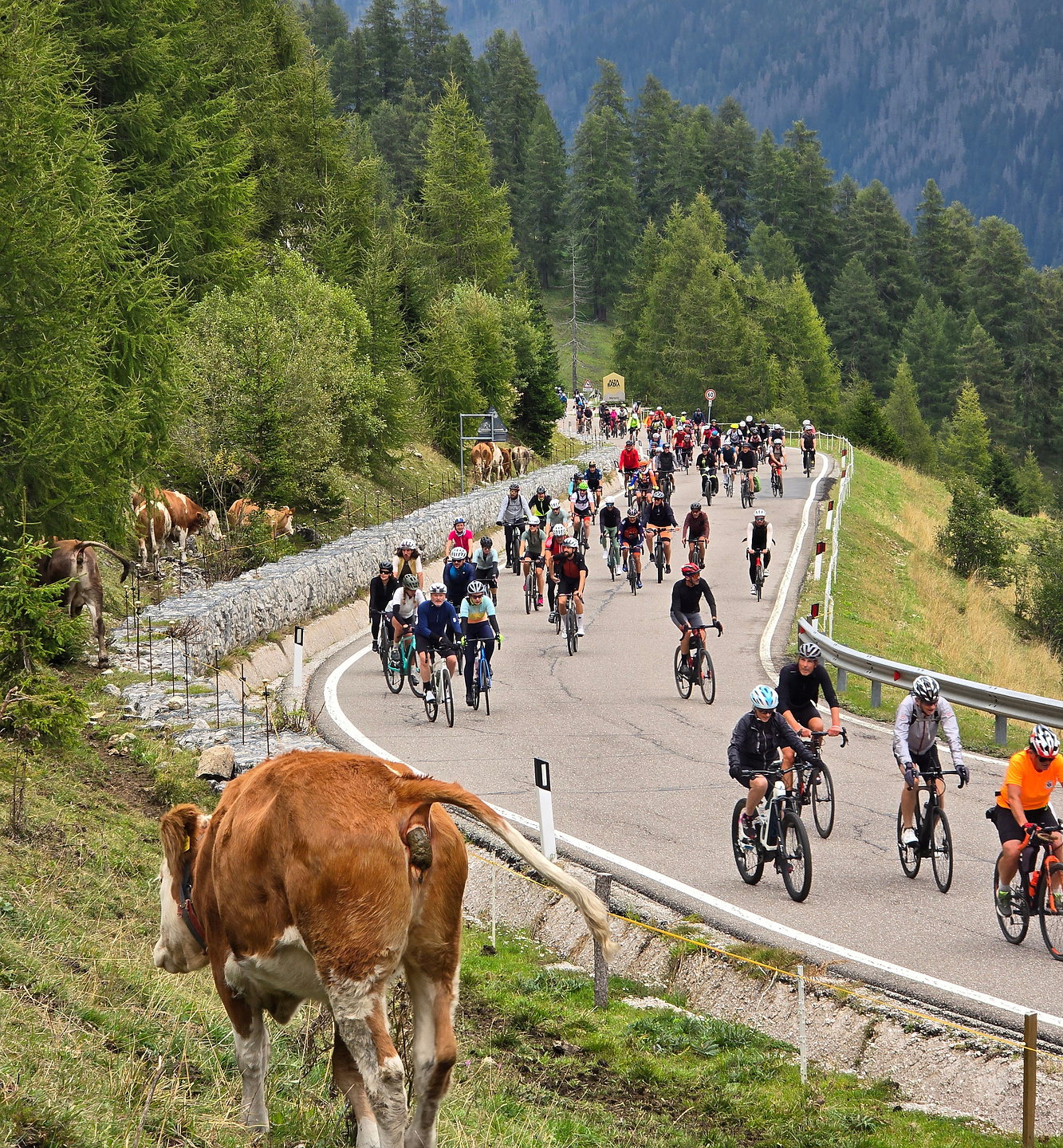 sellaronda-bikeday9.jpg
