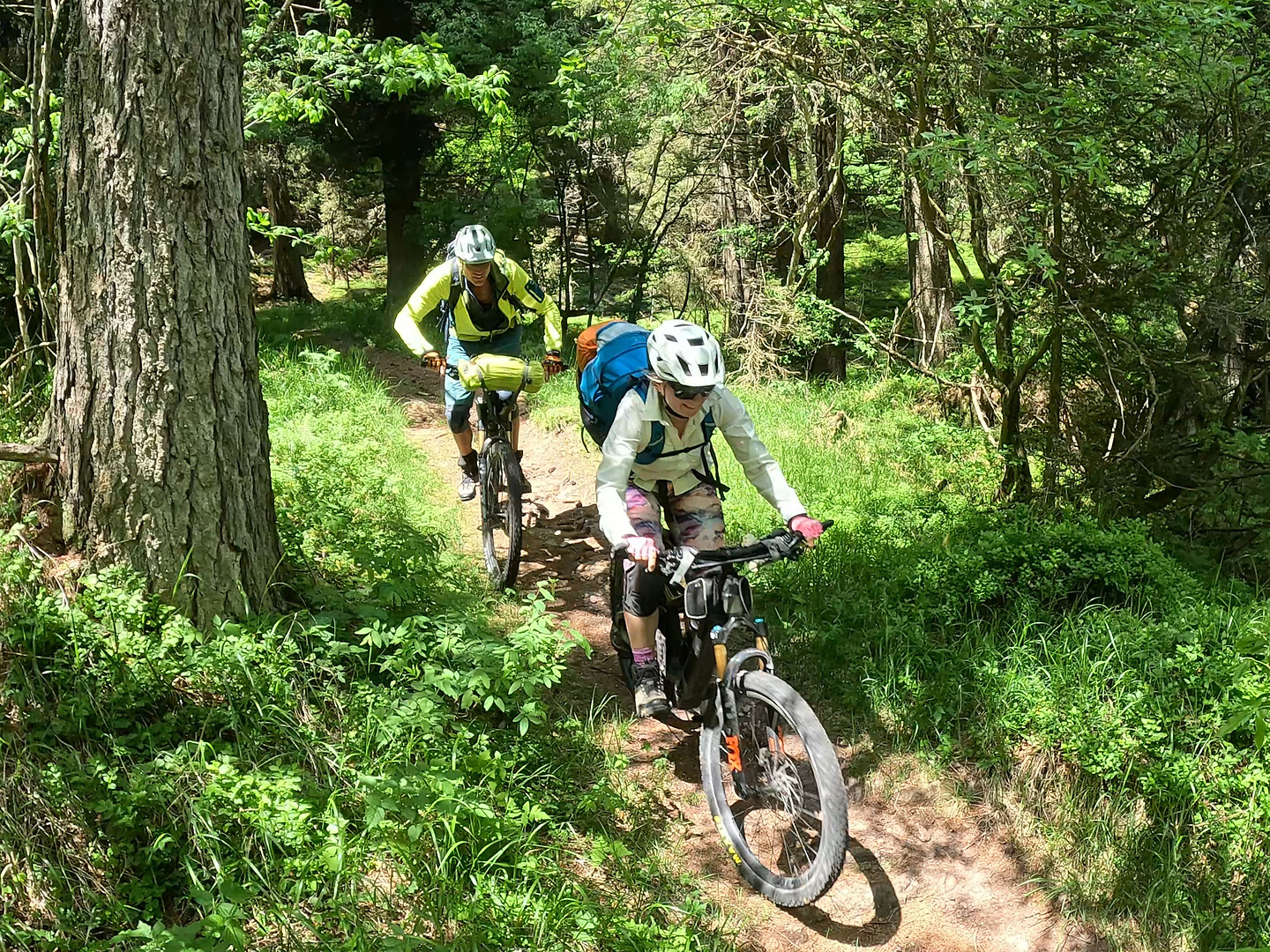 settecrocette-trail23.jpg