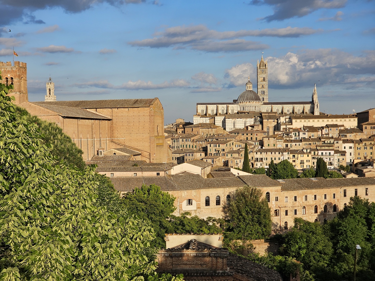 siena-town26.jpg