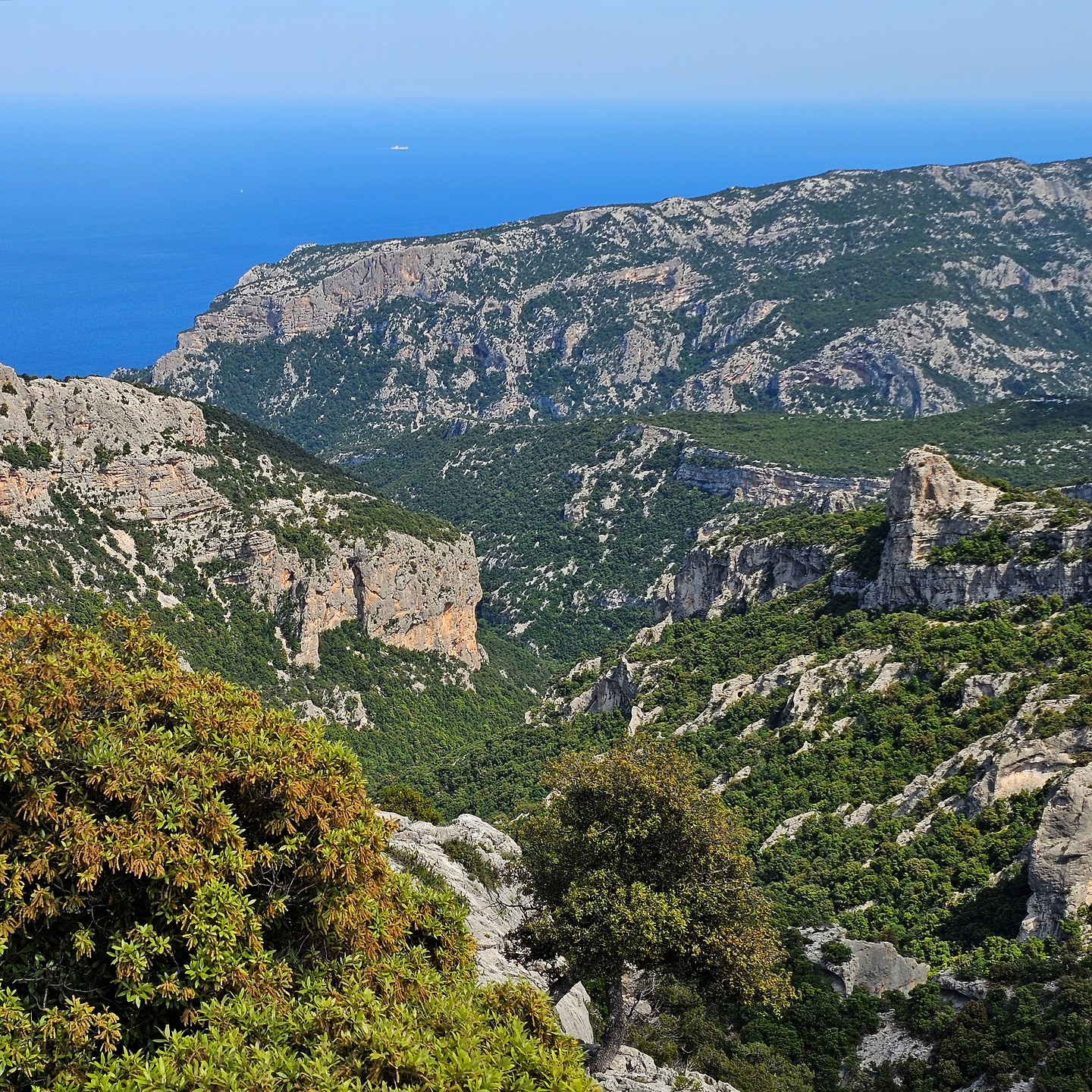 sisine-trail4.jpg