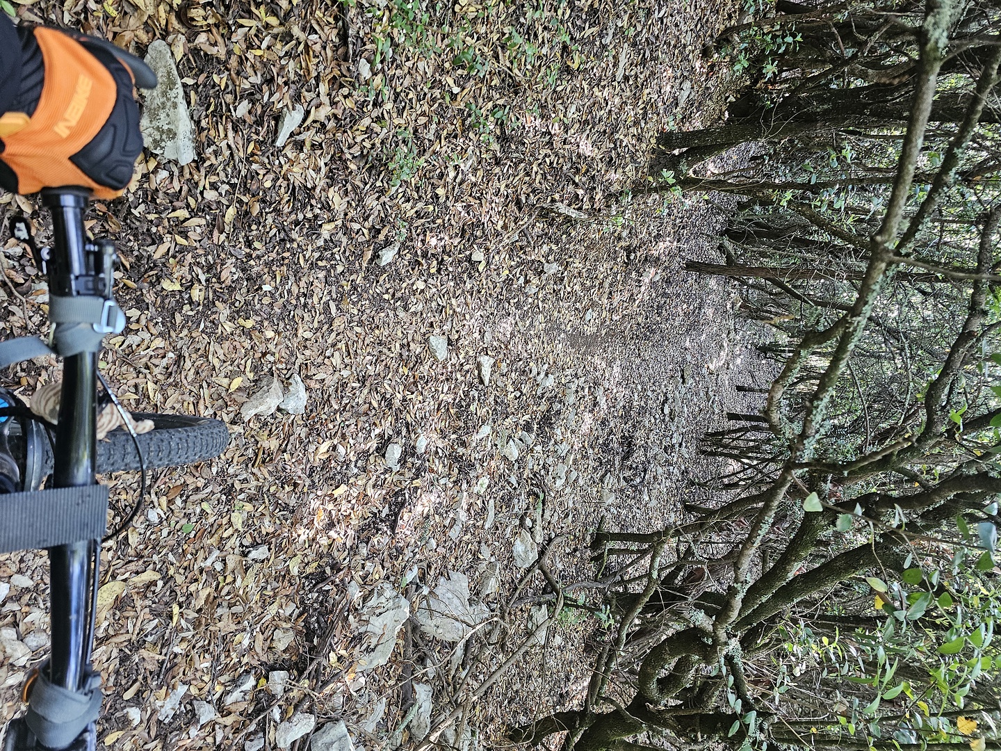 sisine-trail9.jpg