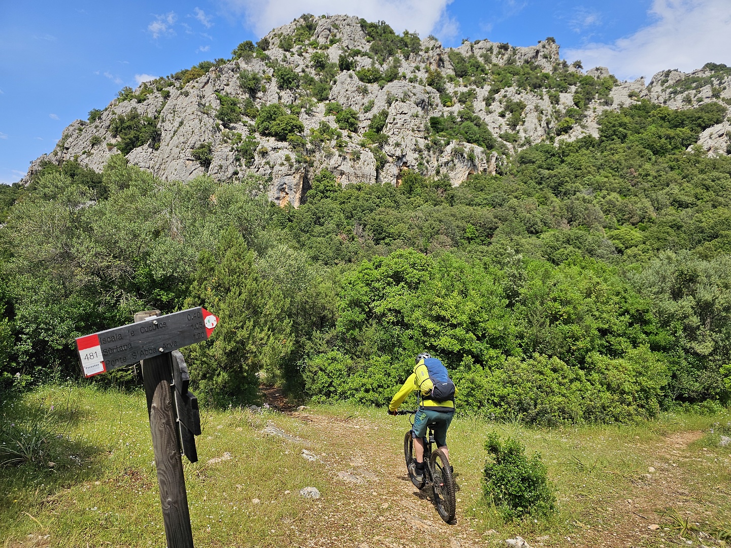 surtana-trail2.jpg