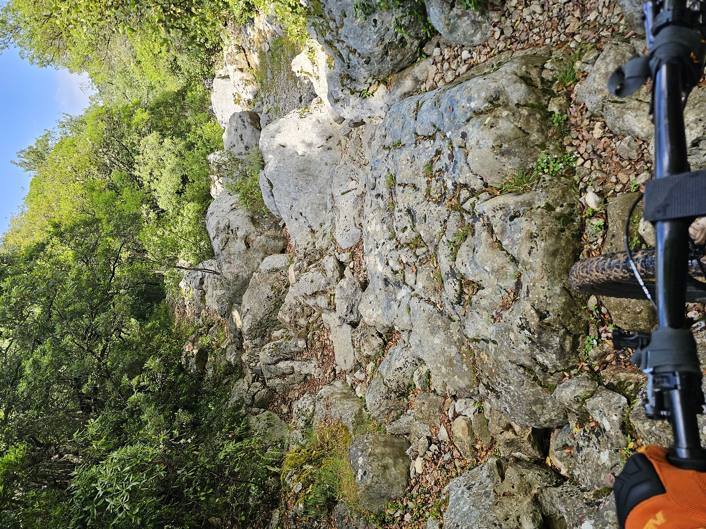 surtana-trail3.jpg