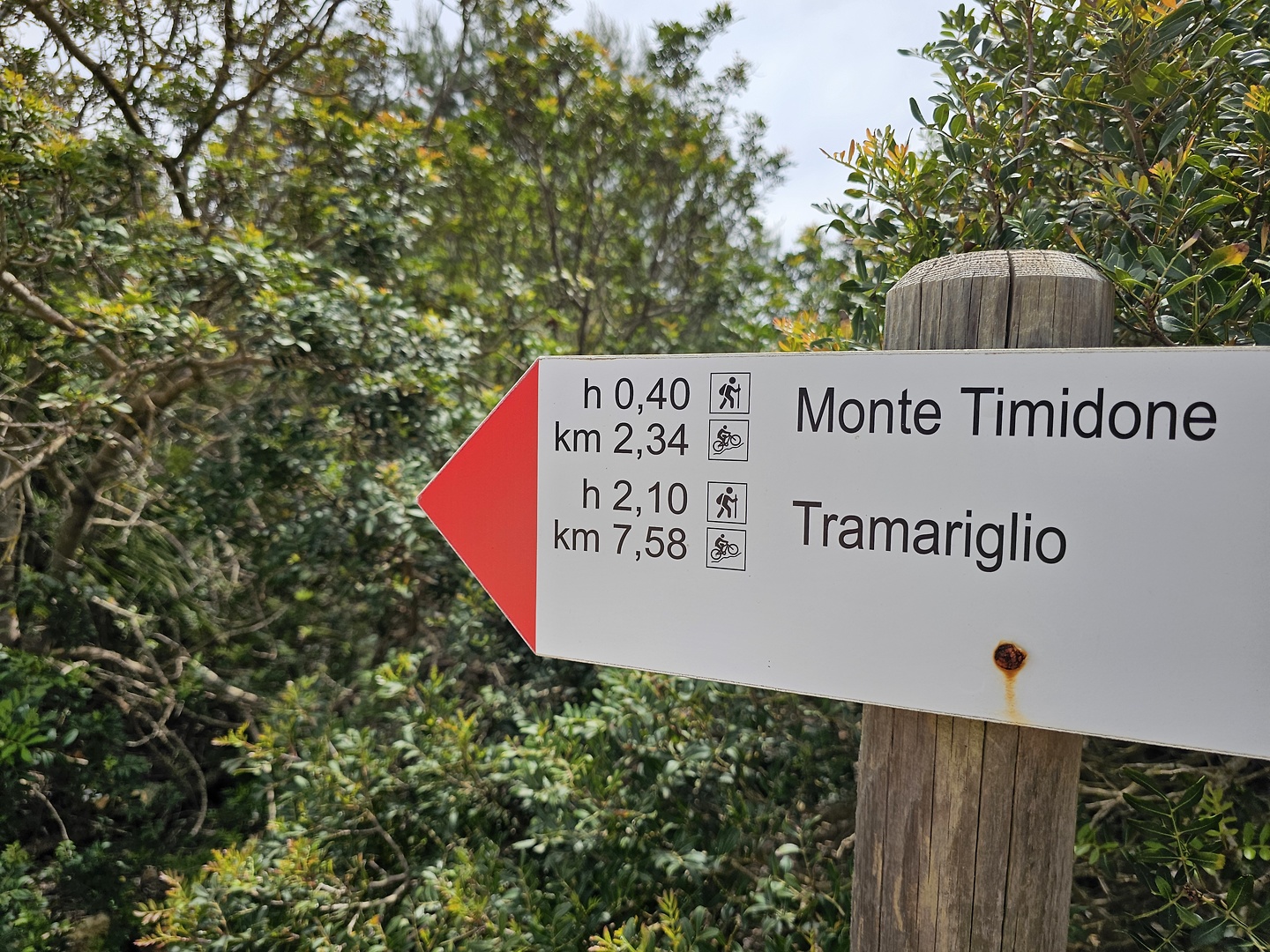 timidone-road3.jpg