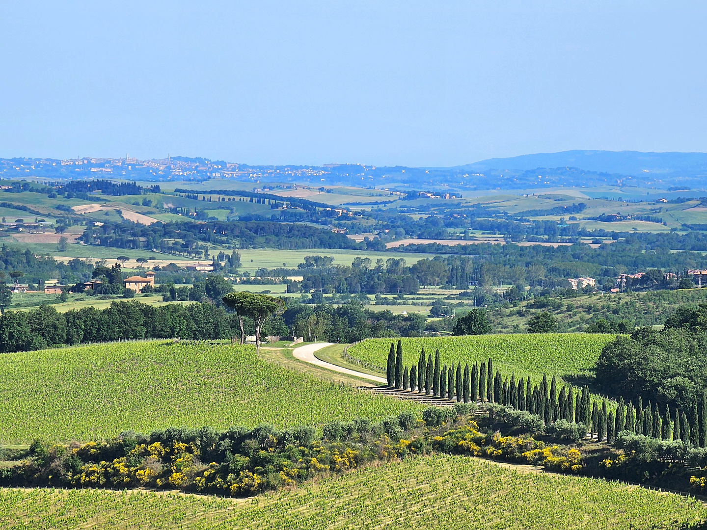 torrenieri-road3.jpg