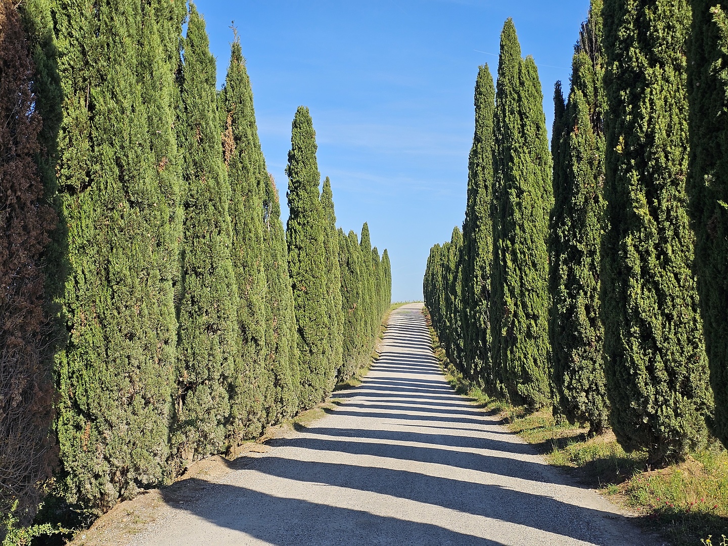 torrenieri-road4.jpg