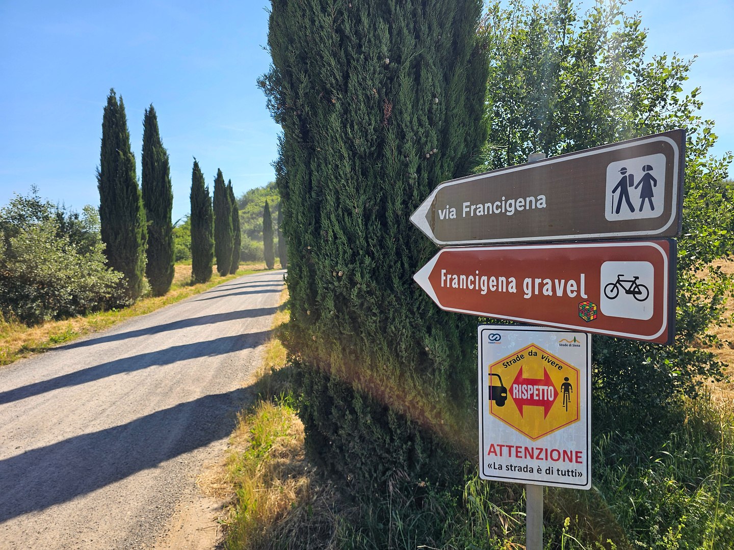 torrenieri-road5.jpg