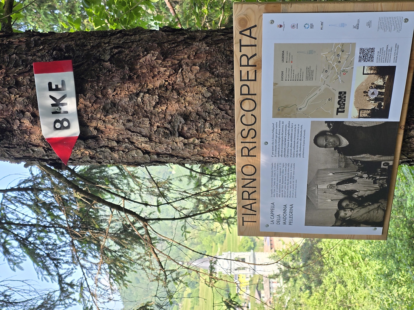 tremalzo-trail6.jpg