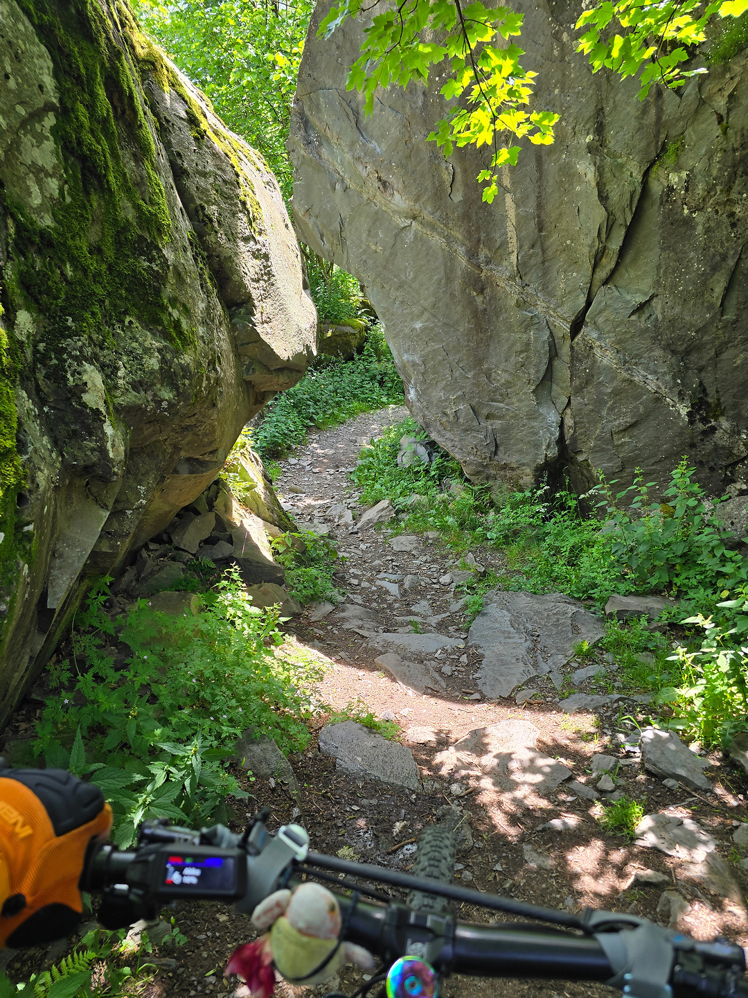 valbondione-trail6.jpg