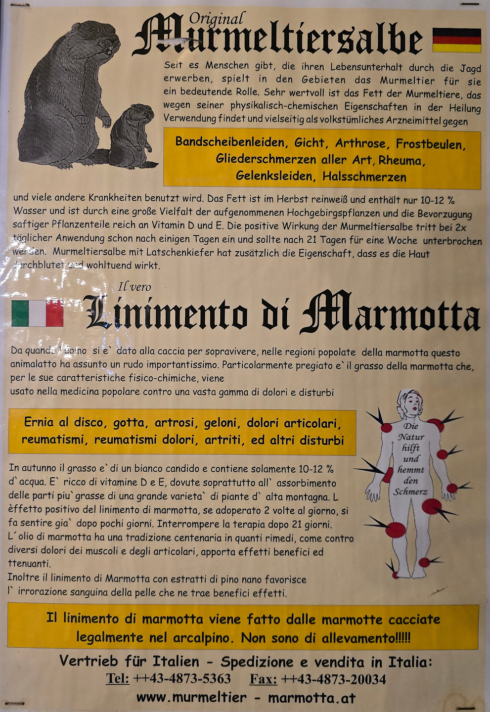 valparola-rifugio1.jpg