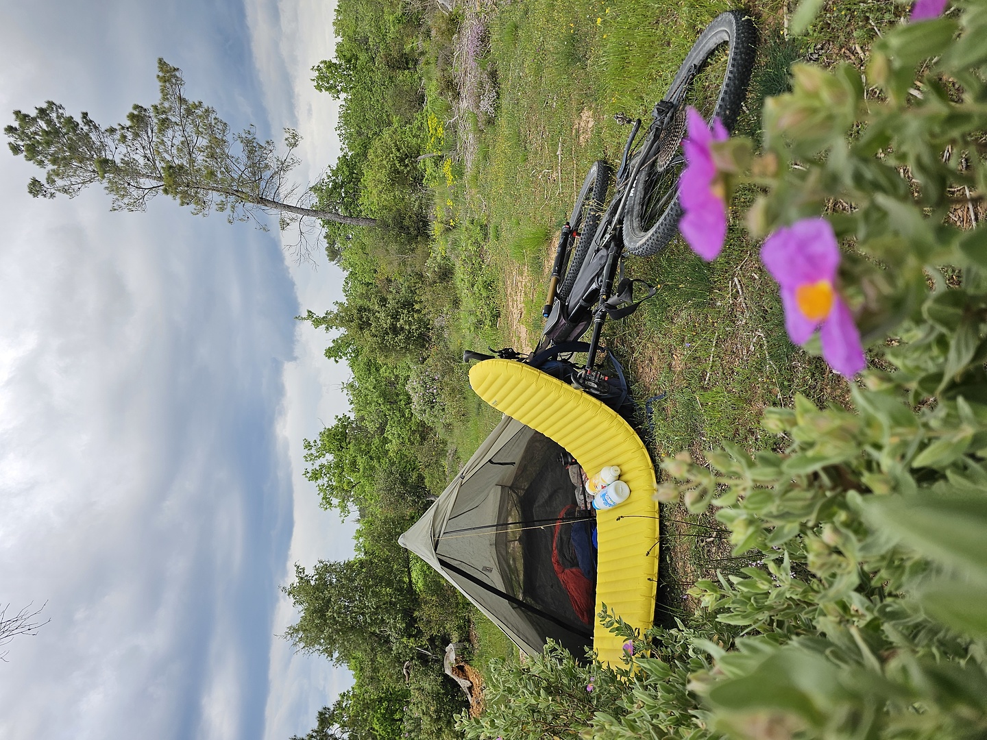 verdiere-camp1.jpg