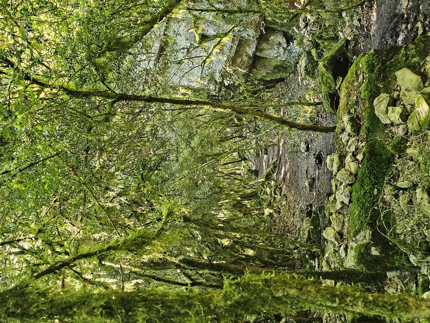 verdon-trail13.jpg