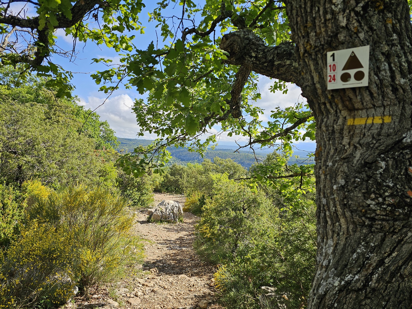 verdon-trail16.jpg
