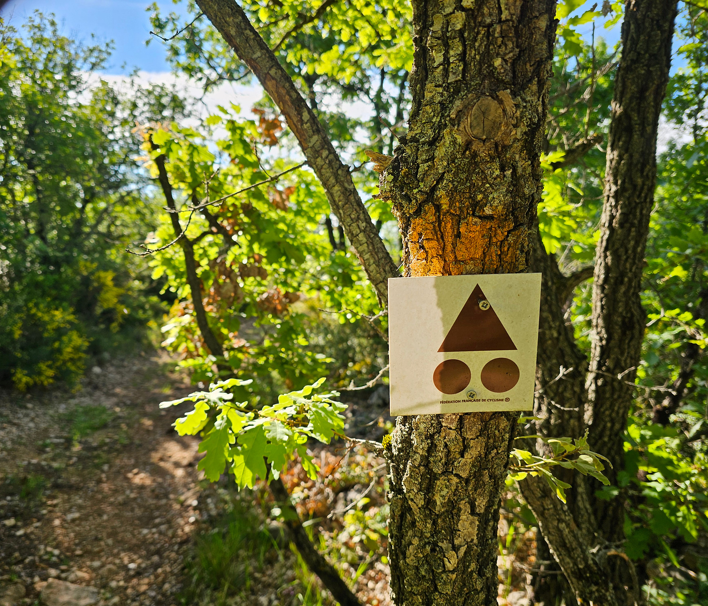 verdon-trail2.jpg