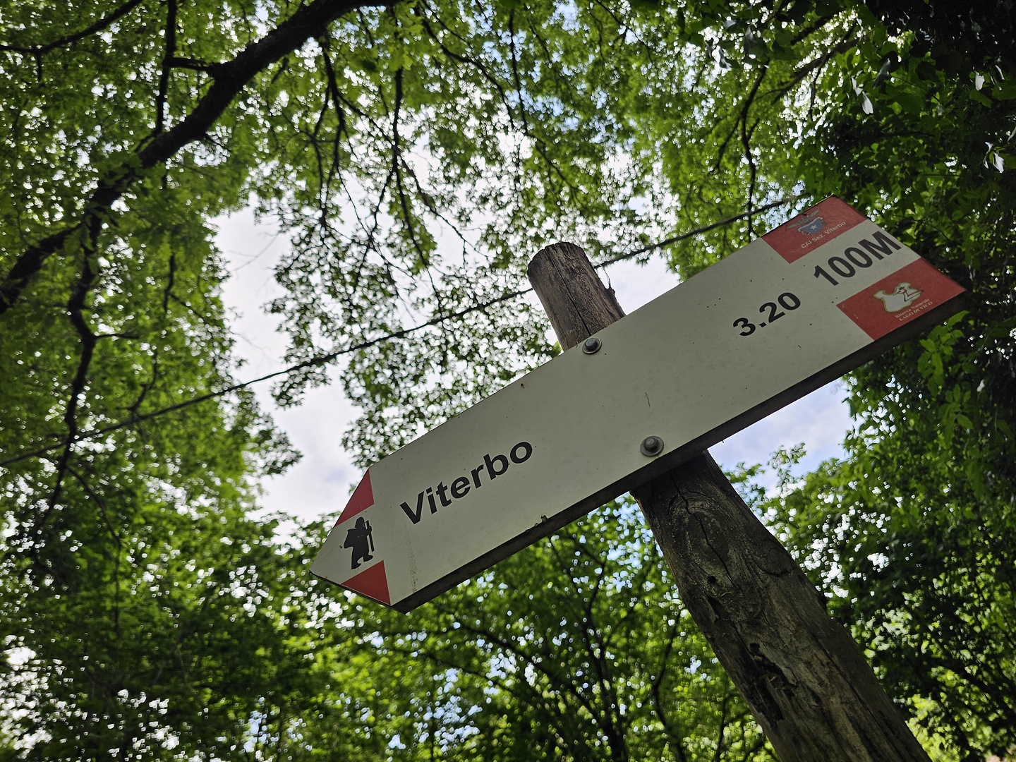 vico-trail1.jpg