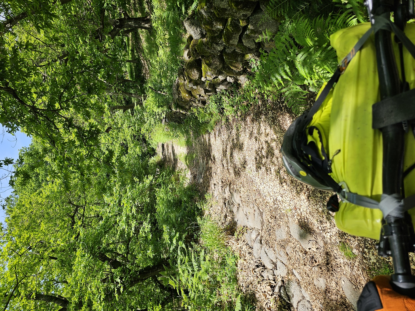 vico-trail2.jpg