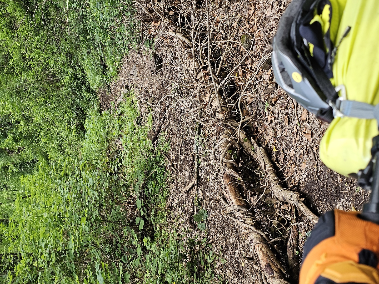 vico-trail3.jpg