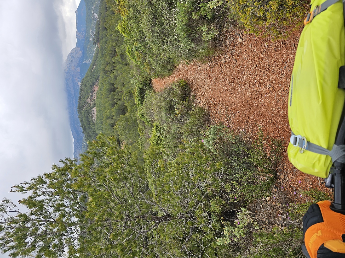victoire-trail1.jpg