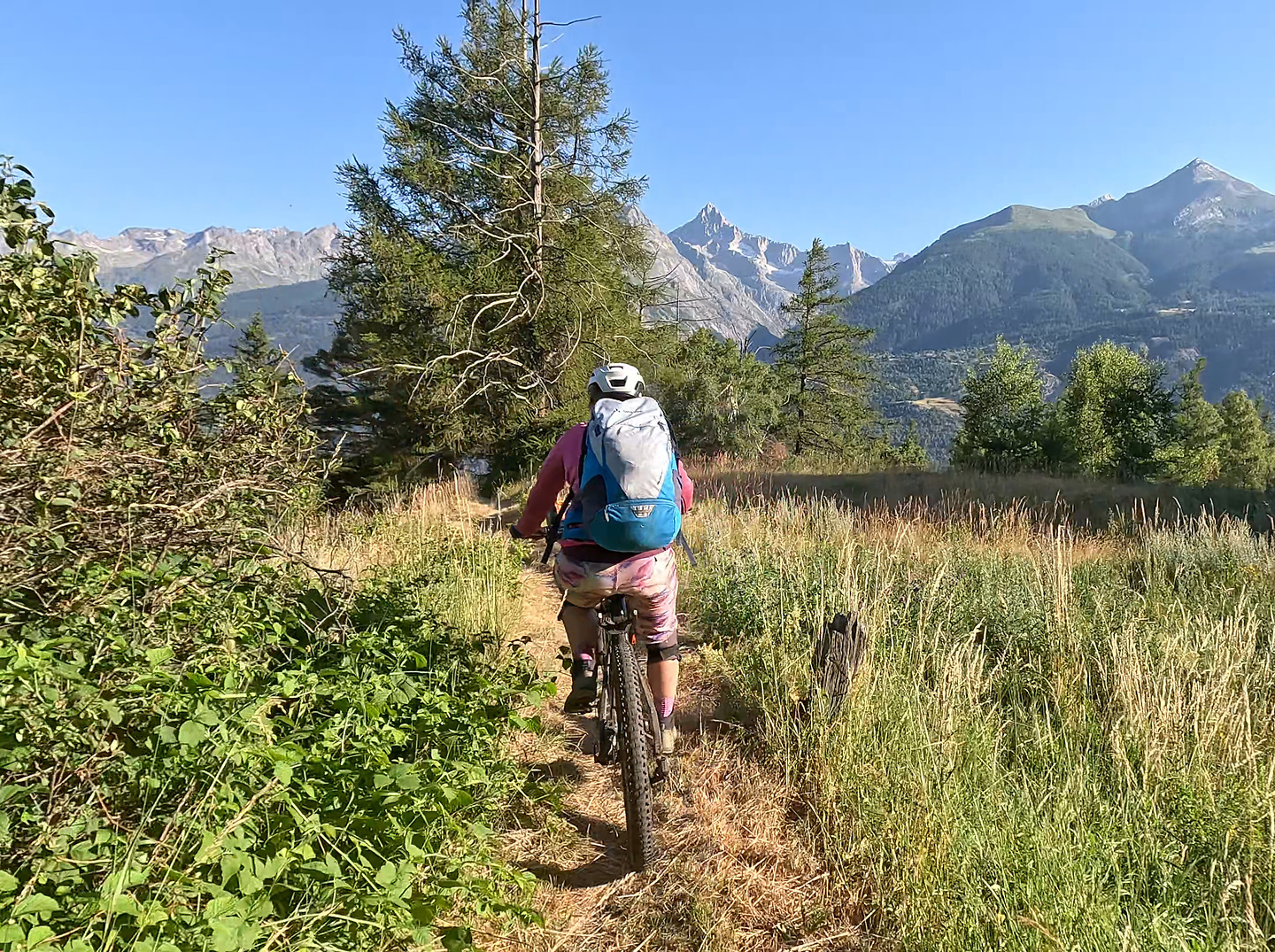 visp-trail4.jpg