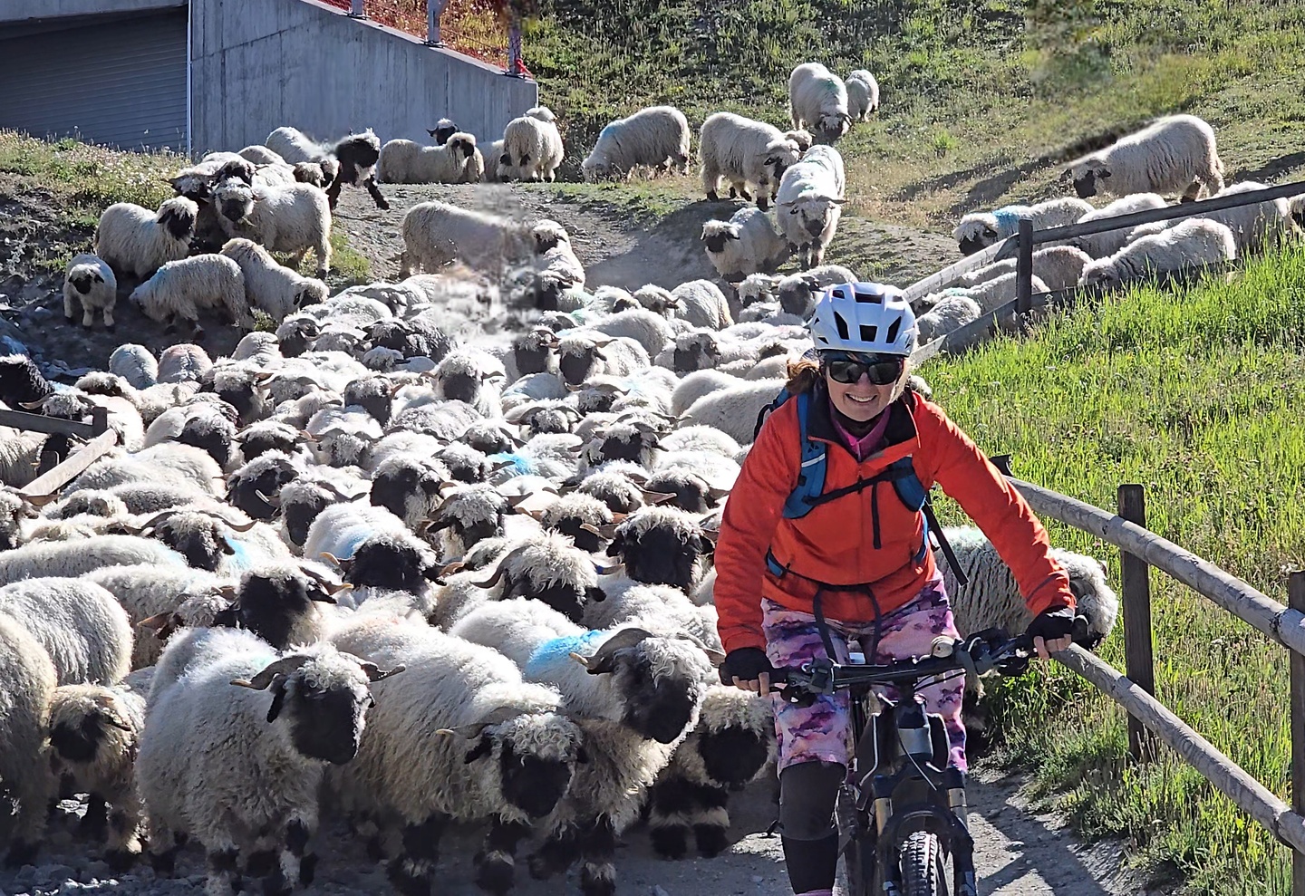 zermatt-trail3.jpg