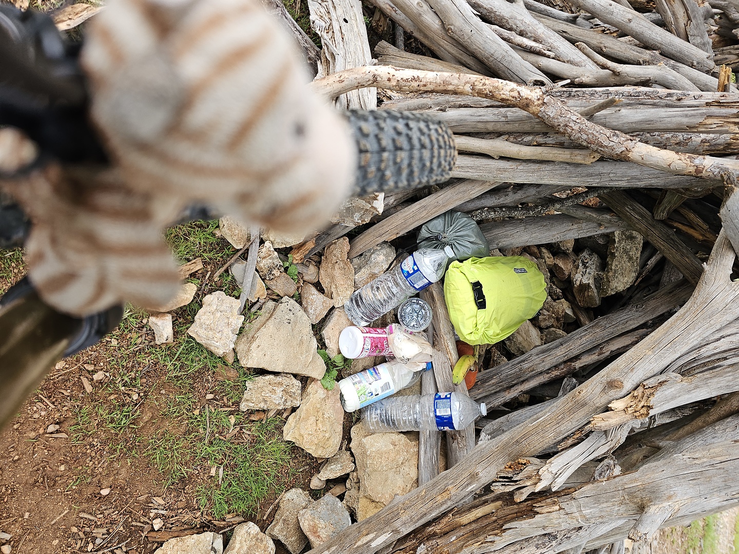 zola-trail0.jpg