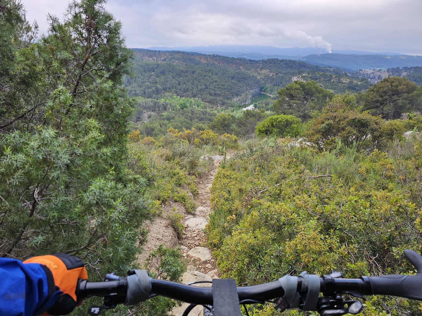 zola-trail1.jpg
